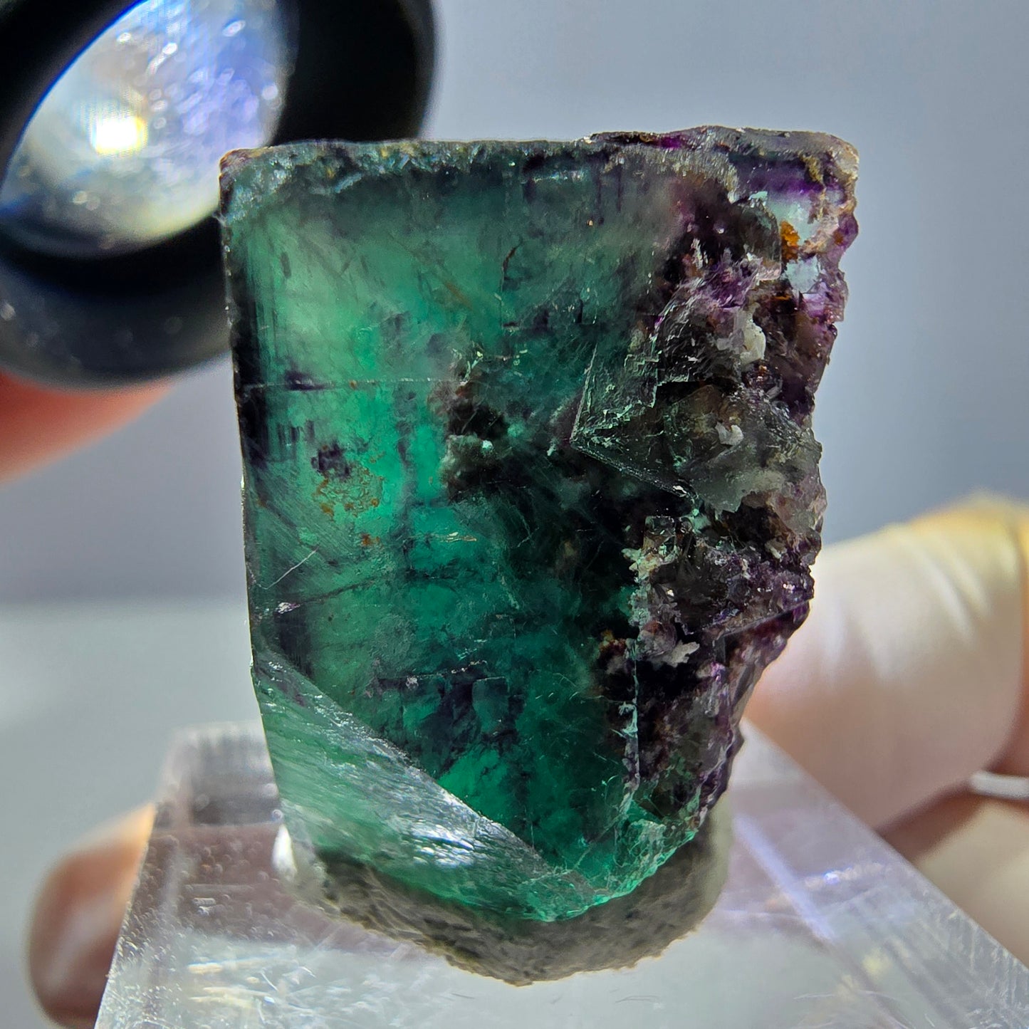 Phantom Fluorit Würfel Stufe, parkettiert grün lila Okorusu, Namibia 24*23*19mm