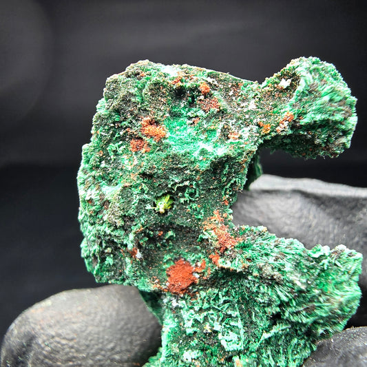 Malachite rare au stade matriciel Kaokoveld, Namibie collection 37*23*17mm