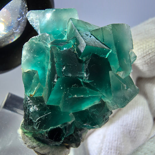 Spécimen rare de cube de fluorite fantôme, vert zonal et violet, Okorusu, Namibie, 36 x 29 x 21 mm