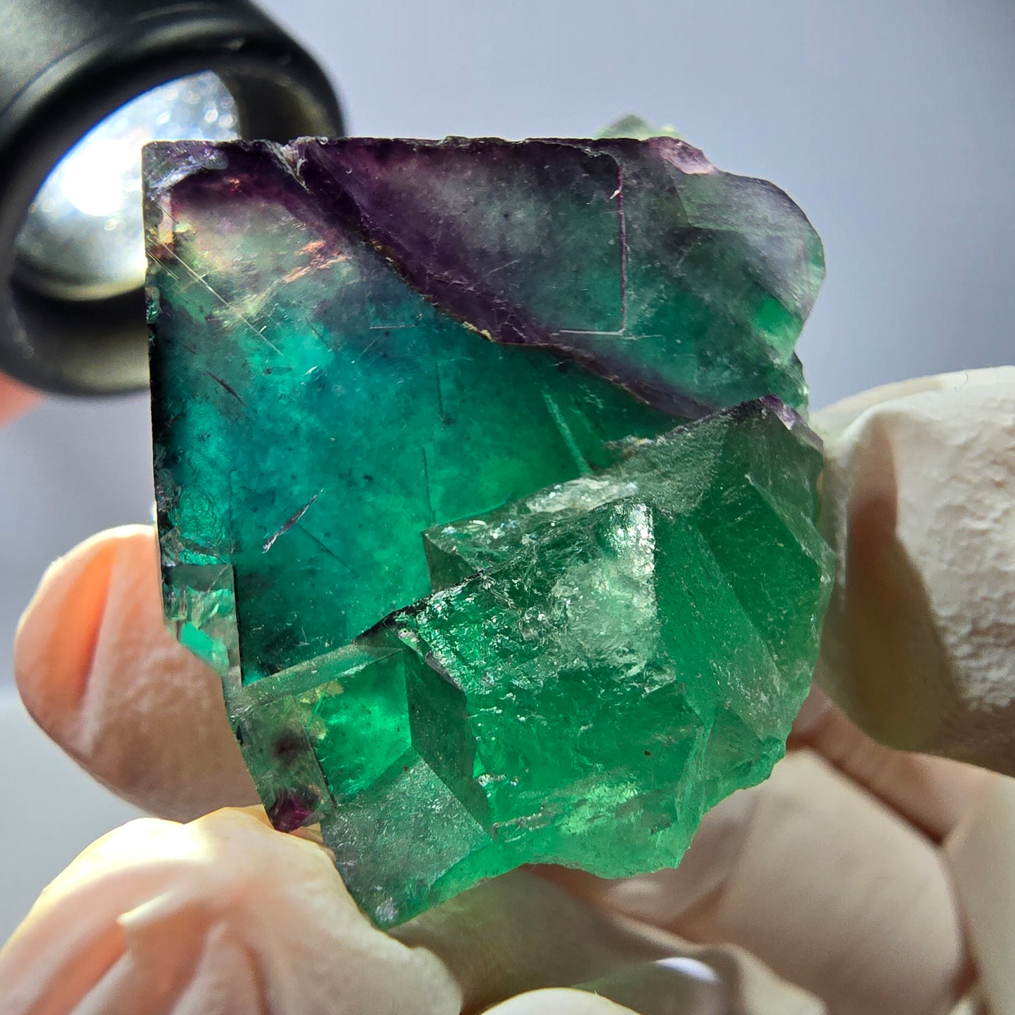 Spécimen de cube de fluorite fantôme, parqueté vert violet Okorusu, Namibie 40*32*25 mm