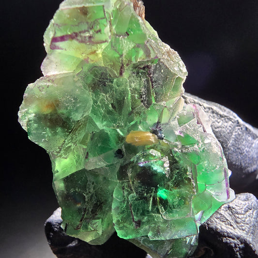 Phantom Fluorite, Muscovite, Schorl Specimen Erongo, Namibia 50*31*19mm Collection