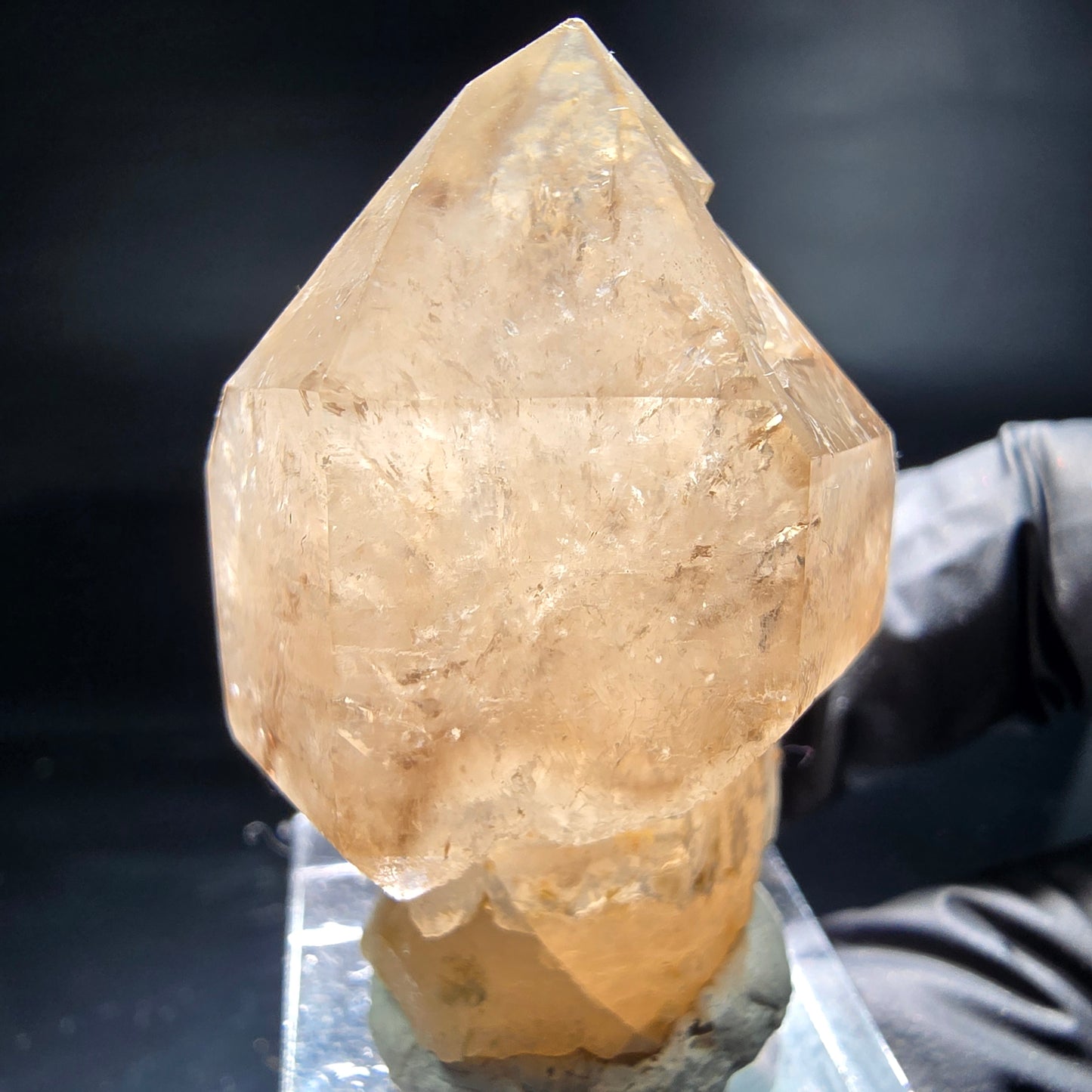 Schöne Phantom Rauchquarz Zepter Spitze Erongo, Namibia 44*31*26mm Sammlung