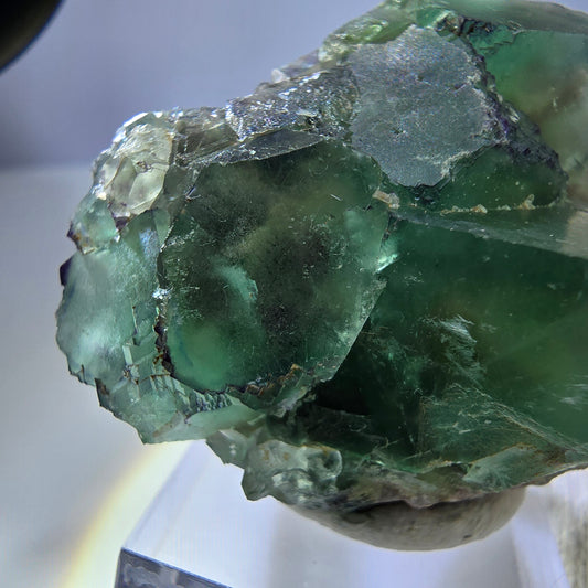 Spécimen rare de cube de fluorite fantôme, vert zonal et violet, Okorusu, Namibie, 47 x 43 x 26 mm