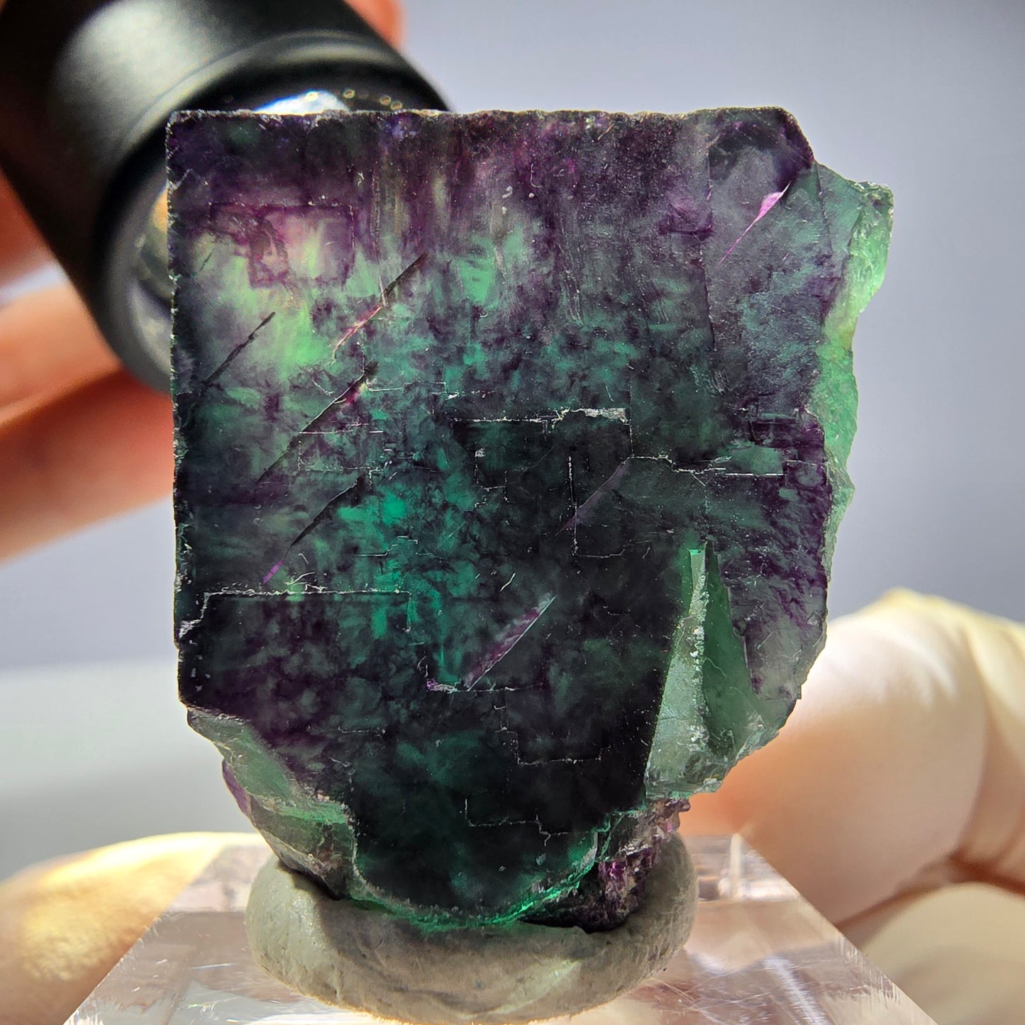 Rare cube de fluorite fantôme parqueté vert violet Okorusu Namibie 31*27*21mm