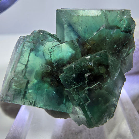 Rare spécimen de cube de fluorite fantôme, parqueté, vert Okorusu, Namibie 29*23*21mm