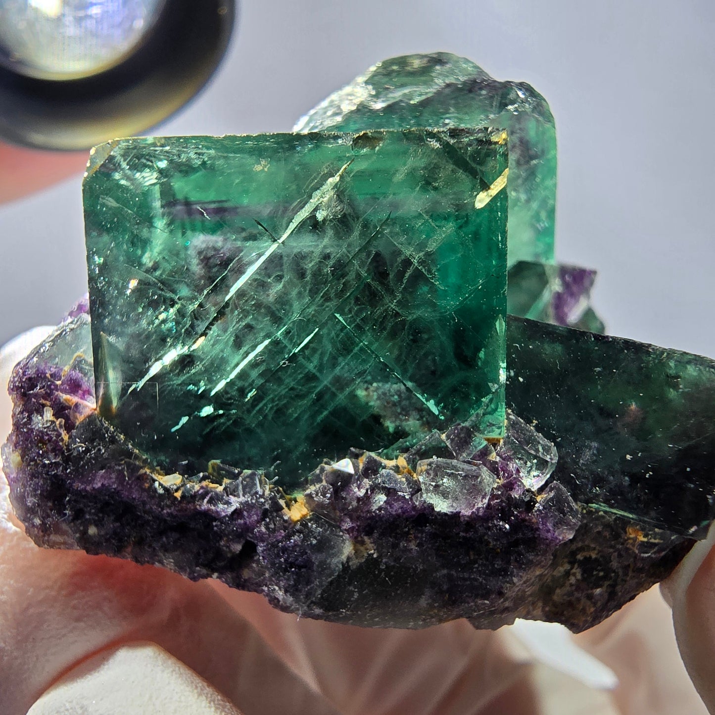Spécimen de cube de fluorite fantôme, parqueté vert violet Okorusu, Namibie 50*43*30 mm