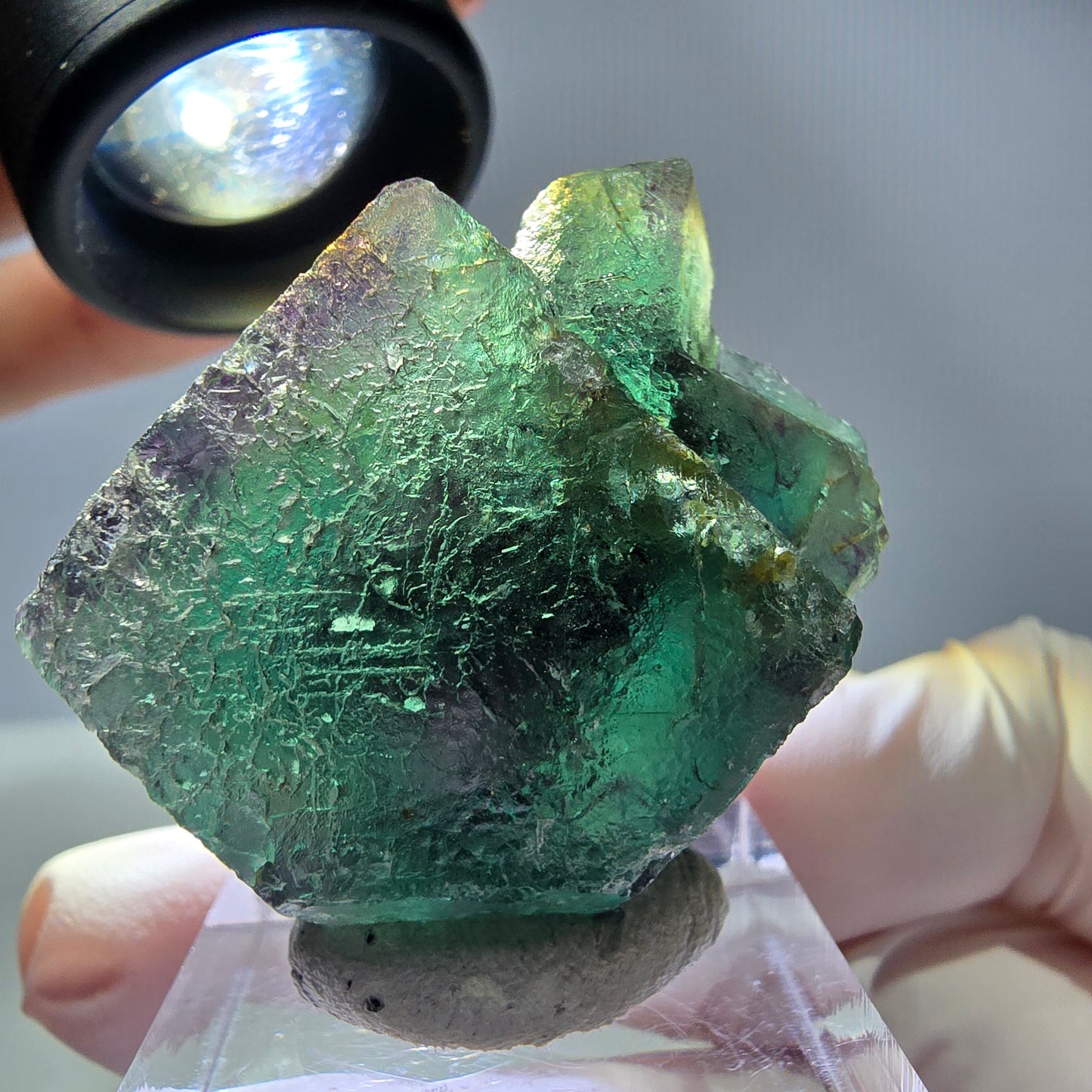 Rare cube de fluorite fantôme parqueté vert violet Okorusu Namibie 35*26*16mm