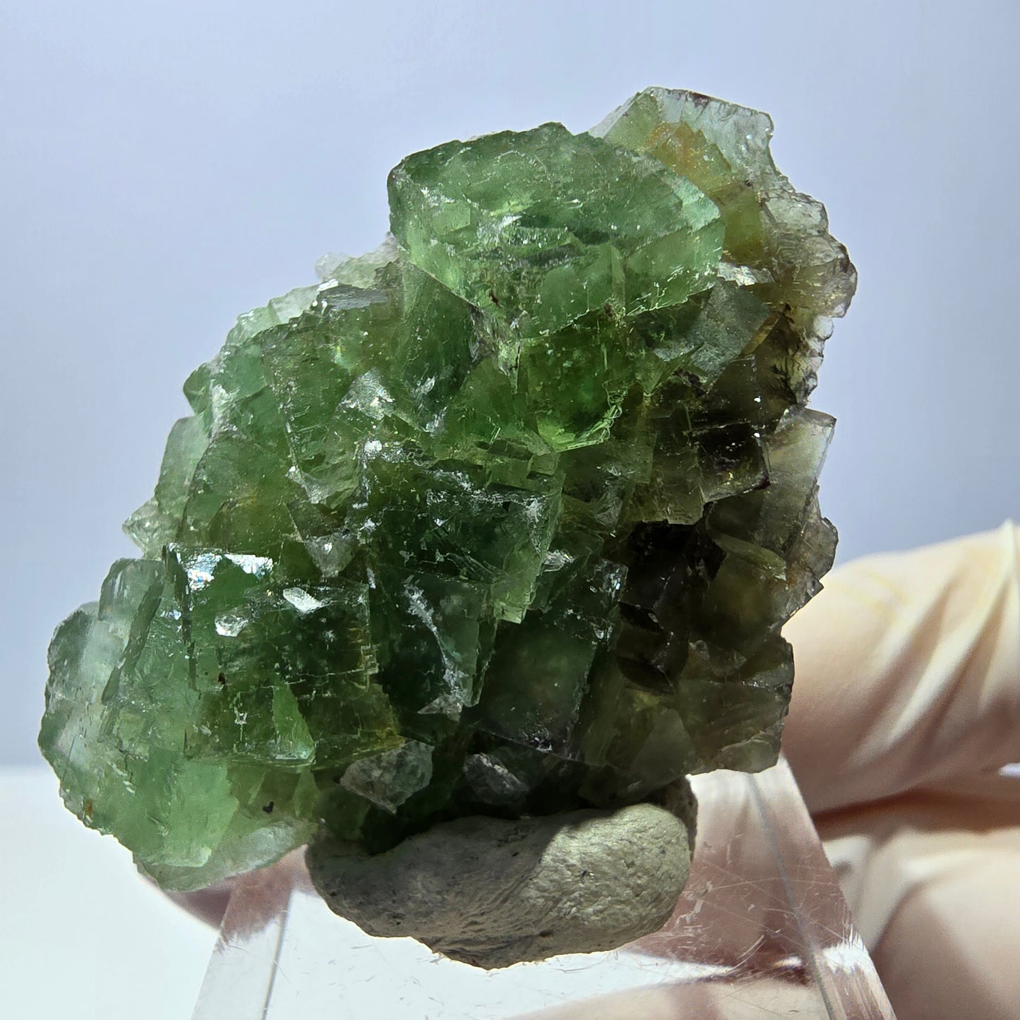 Rare spécimen de cube de fluorite fantôme, vert Okorusu, Namibie 45 x 33 x 17 mm