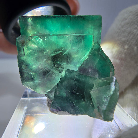 Spécimen zonal de cube de fluorite fantôme, vert violet, Okorusu, Namibie, 30 x 28 x 24 mm