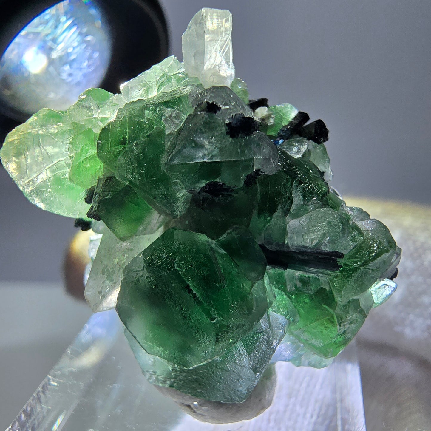 Spécimen de fluorite fantôme, tourmaline Schorl et quartz fumé, Erongo, Namibie, 31 x 25 x 17 mm