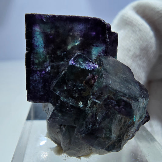 Spécimen rare de cube de fluorite fantôme, vert zonal et violet, Okorusu, Namibie, 31 x 23 x 19 mm