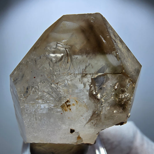 Enhydro Phantom Rauchquarz Skelett Zepter, 1x Blase Goboboseb Namibia 45*37*20mm