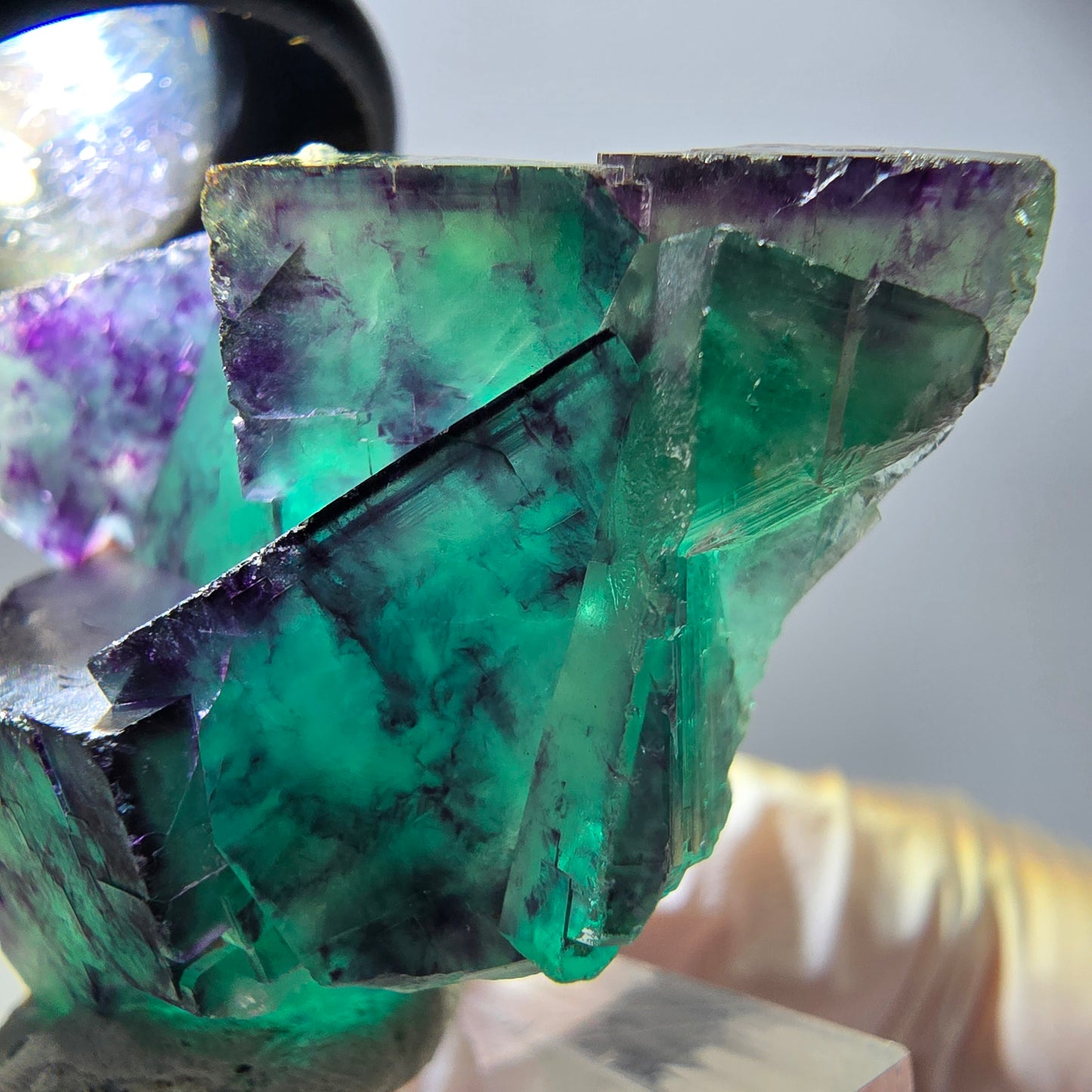 Spécimen rare de cube de fluorite, vert violet, Okorusu, Namibie, 40 x 31 x 17 mm