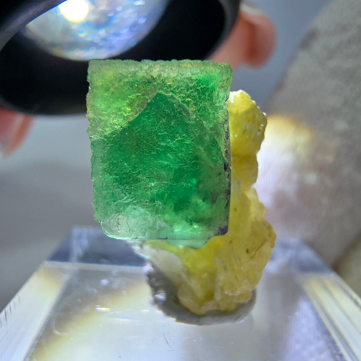 Cube de fluorite fantôme zonal, spécimen de muscovite, Erongo, Namibie, 19 x 13 x 11 mm