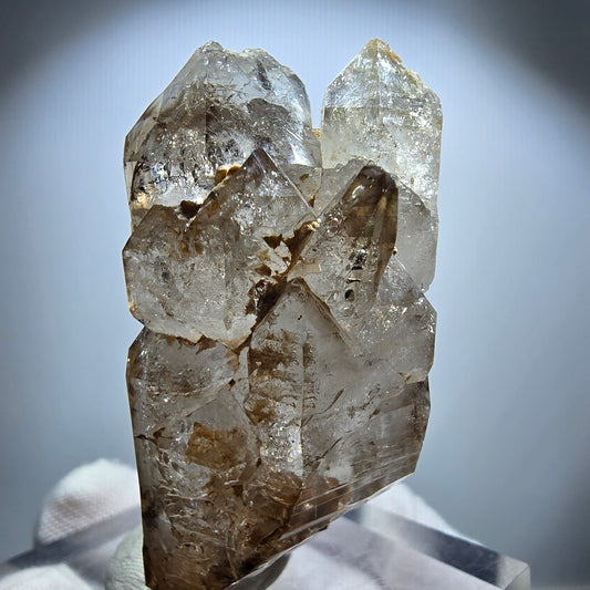Phantom Rauchquarz DT Fenster Zepter Kristall Goboboseb, Namibia 54*27*27mm