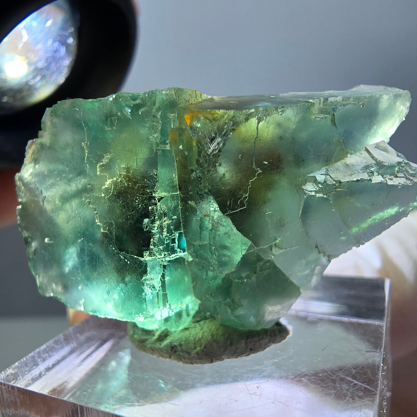 Spécimen de cube de fluorite fantôme, parquet vert Okorusu, Namibie 38 x 25 x 13 mm