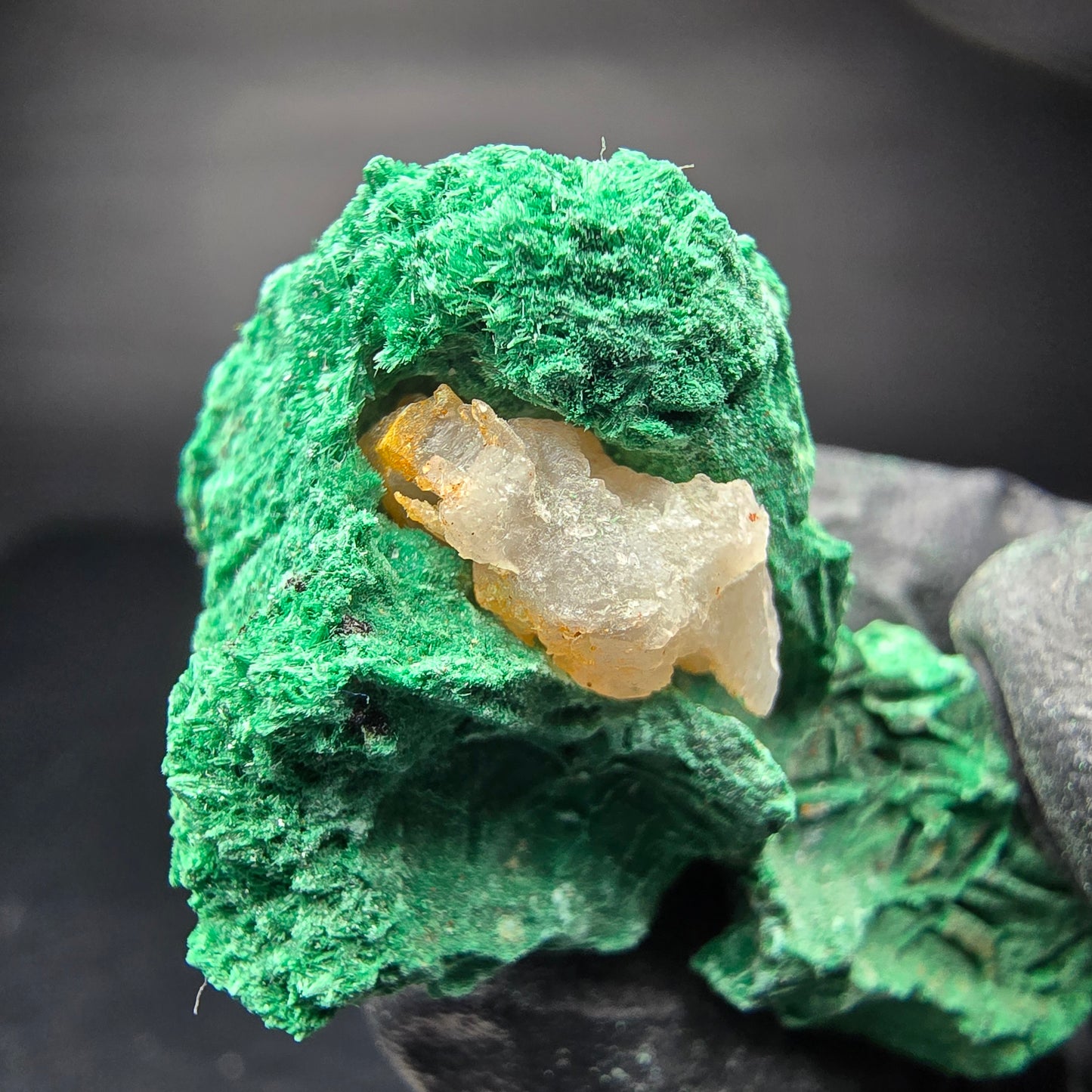 Seltene Malachit Stufe, grün Kaokoveld, Namibia 47*22*23mm Mineraliensammlung