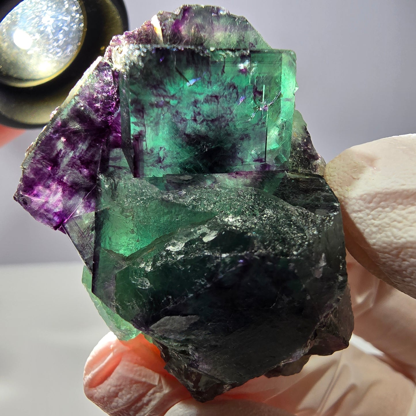 Spécimen de cube de fluorite fantôme, parqueté vert violet Okorusu, Namibie 47*35*24 mm