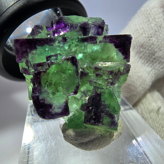 Spécimen rare de cube de fluorite fantôme zonal vert violet Okorusu, Namibie 29*25*16mm
