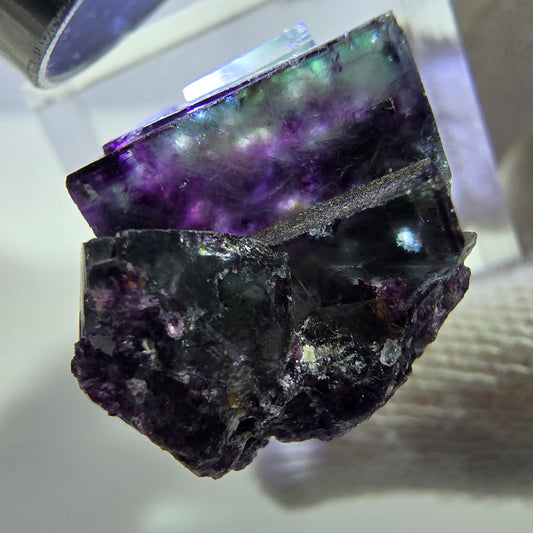 Spécimen rare de cube de fluorite fantôme, vert zonal et violet, Okorusu, Namibie, 23 x 19 x 15 mm