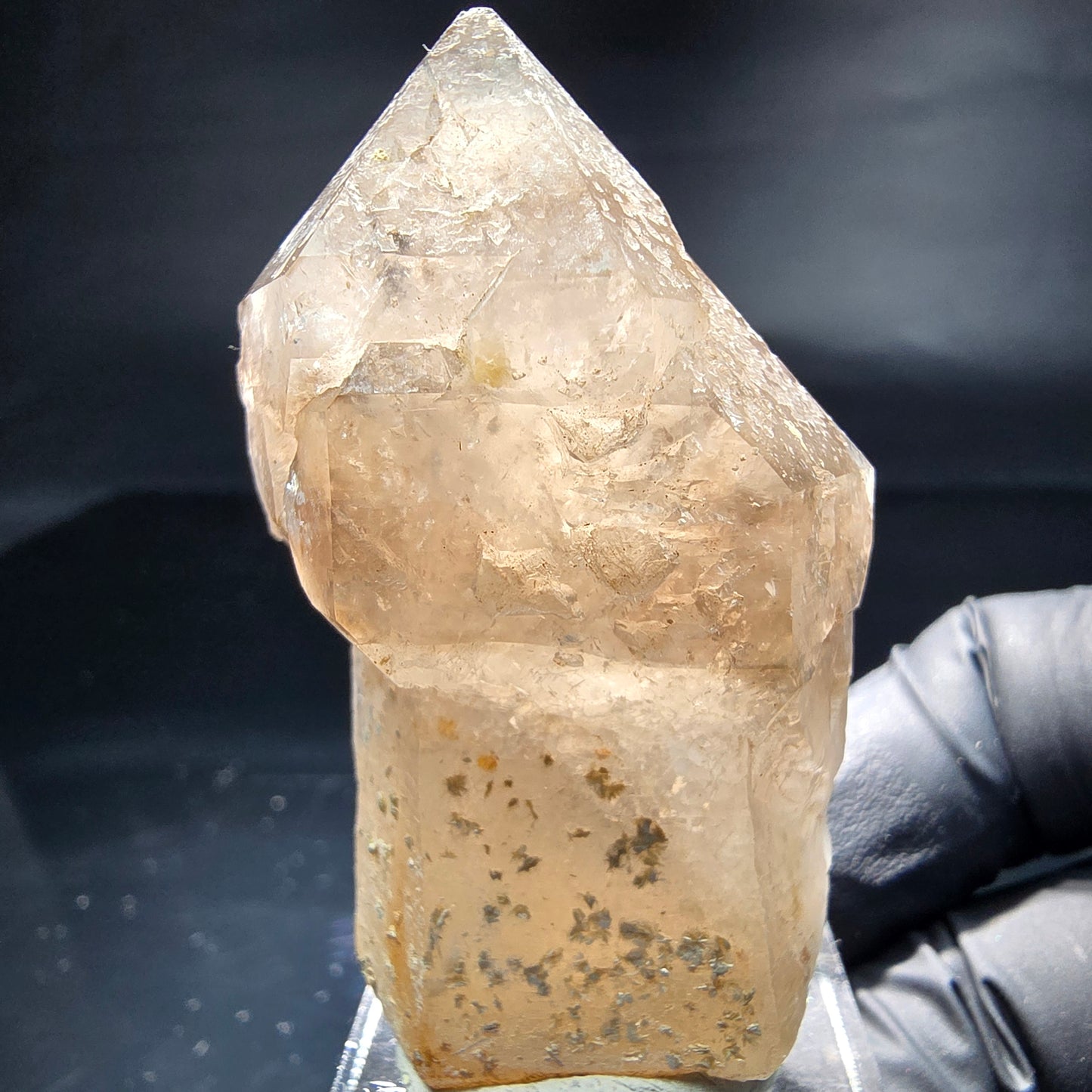 Schöne Phantom Rauchquarz Zepter Spitze Erongo, Namibia 53*34*25mm Sammlung