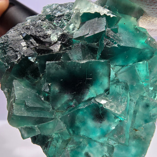 Rare spécimen de cube de fluorite fantôme, parqueté vert Okorusu, Namibie, 65 x 51 x 16 mm