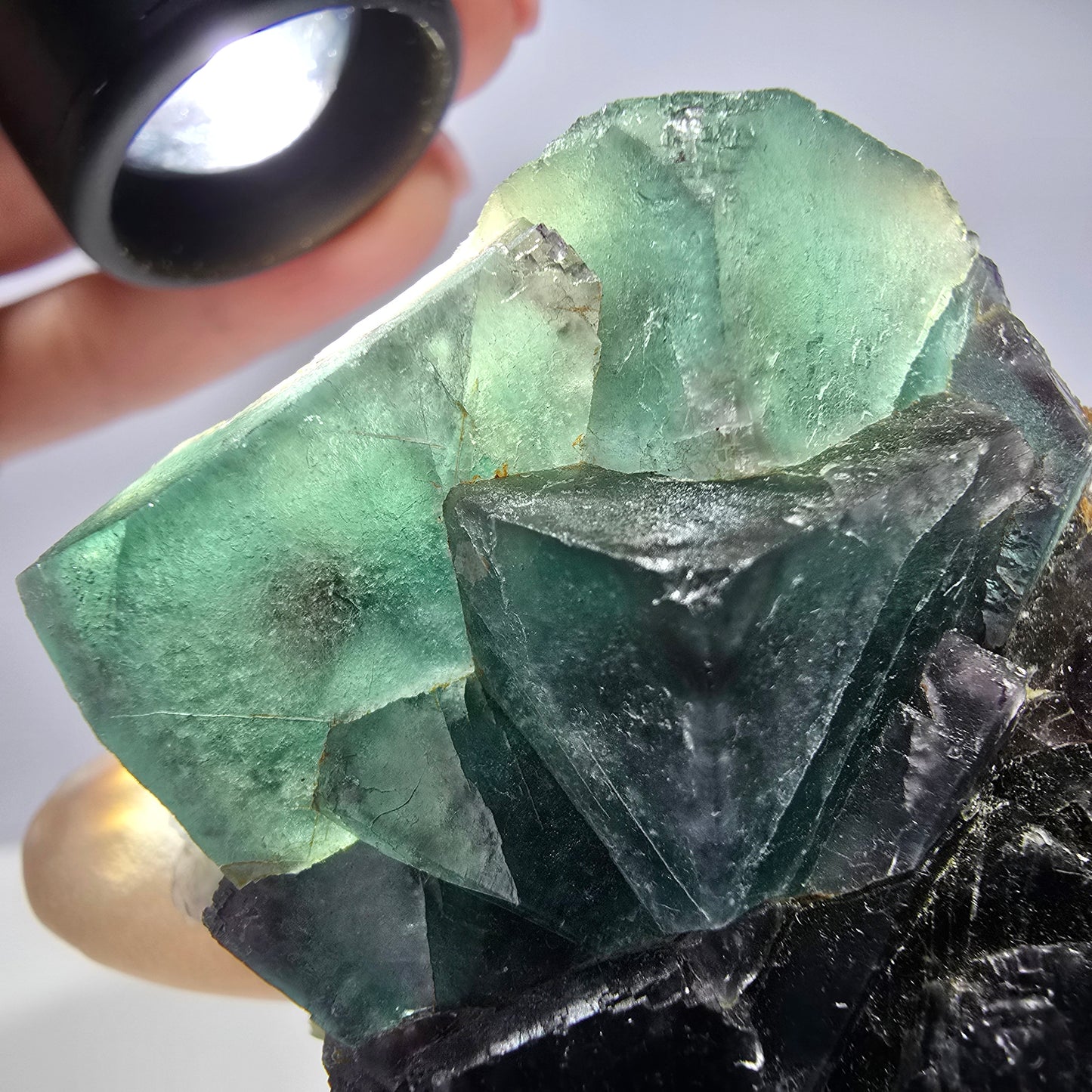 Grand spécimen de cube de fluorite fantôme, vert violet, Okorusu, Namibie, 88 x 60 x 40 mm