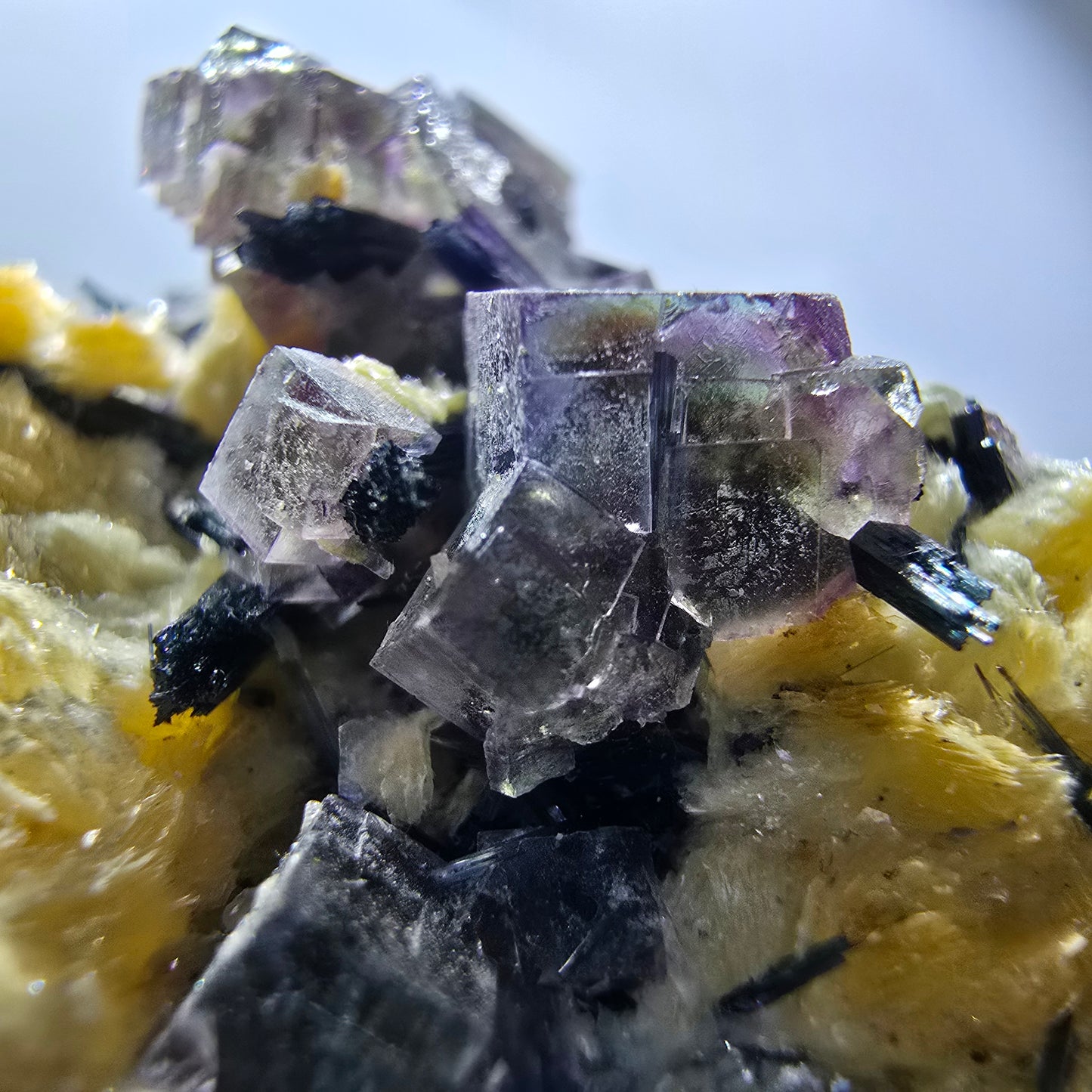 Cubes de fluorite fantôme colorés, tourmaline scholle muscovite, Erongo, Namibie, 61 x 60 x 29 mm