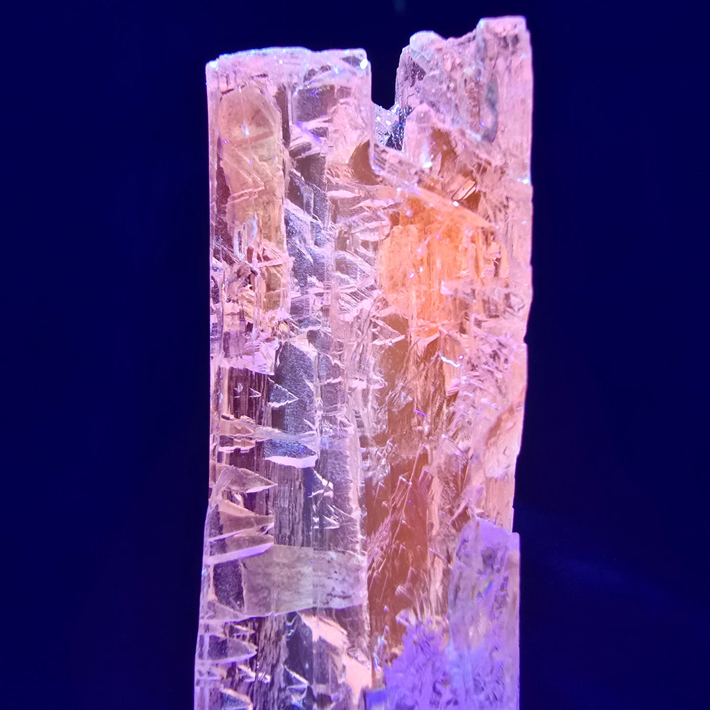 Seltener Kunzit X Spodumen Kristall rosa UV Mineral 77*17*12mm aus Brasilien
