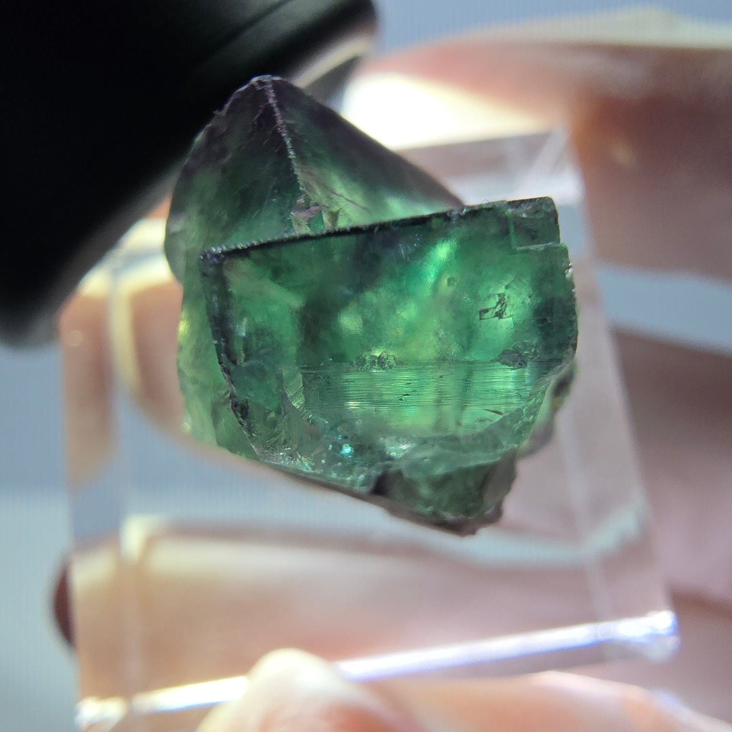 Phantom Fluorit Würfel Stufe, grün lila Okorusu, Namibia 20*16*15mm