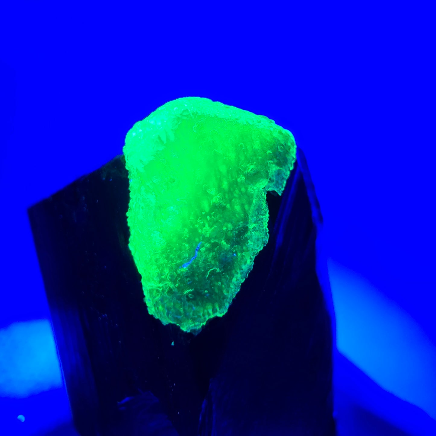 Seltener Schörl Turmalin, Hyalit Kristall Erongo, Namibia 28*23*17mm Sammlung