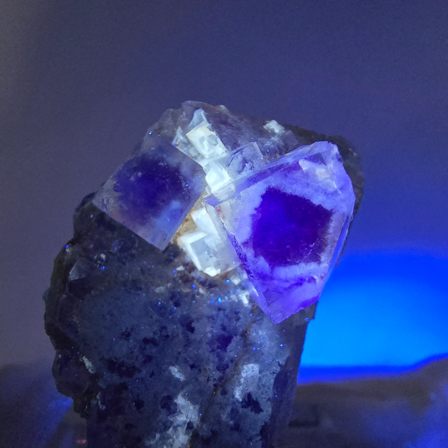 Seltene UV Phantom Fluorit Würfel, Quarz Stufe Brandberg, Namibia 31*19*19mm