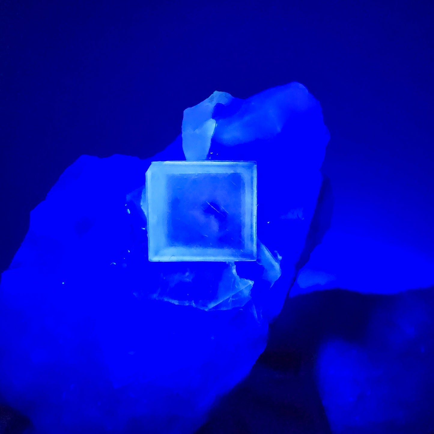 Seltene UV Phantom Fluorit Würfel, Quarz Stufe Brandberg, Namibia 31*22*18mm