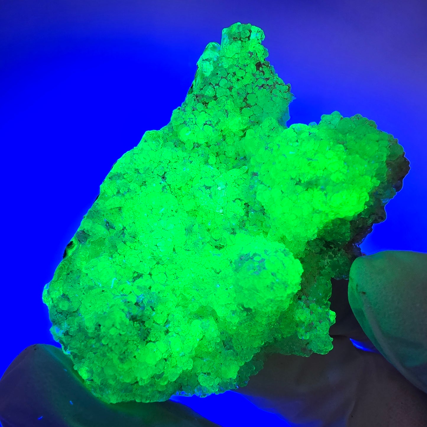 Spécimen rare d'opale hyalite et de tourmaline Schorl, Erongo, Namibie, 62 x 43 x 21 mm