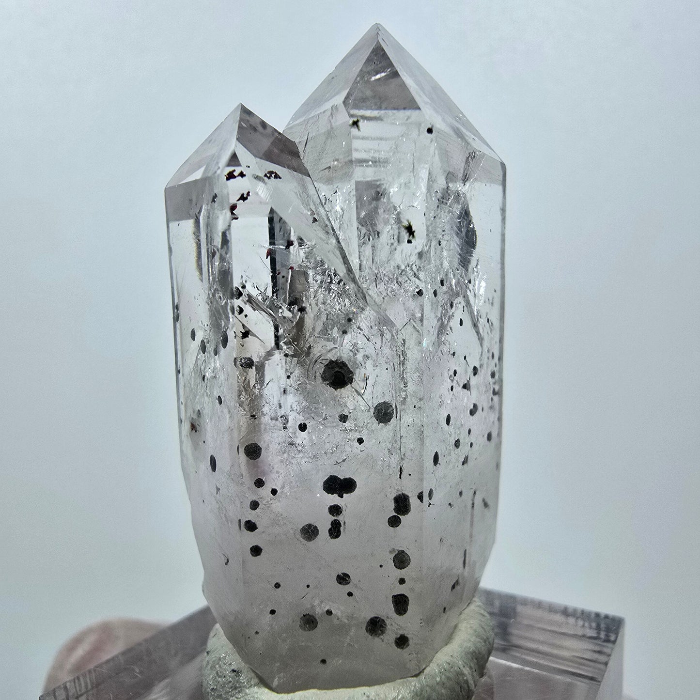 Quartz Harlequin, pointes d'hématite, mine Streep, Goboboseb, Namibie, 39 x 21 x 18 mm