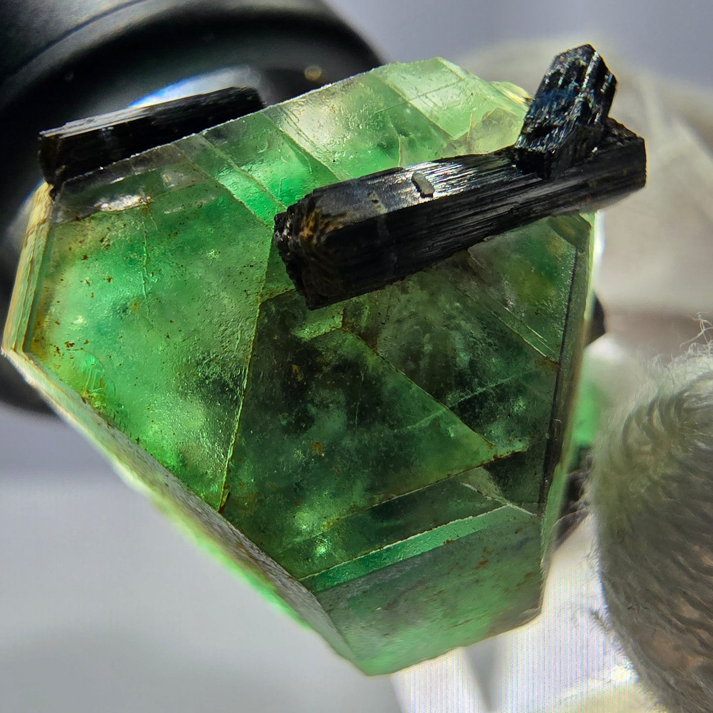 Spécimen de tourmaline Schorl hexagonale en fluorite fantôme, Erongo, Namibie, 23 x 22 x 22 mm
