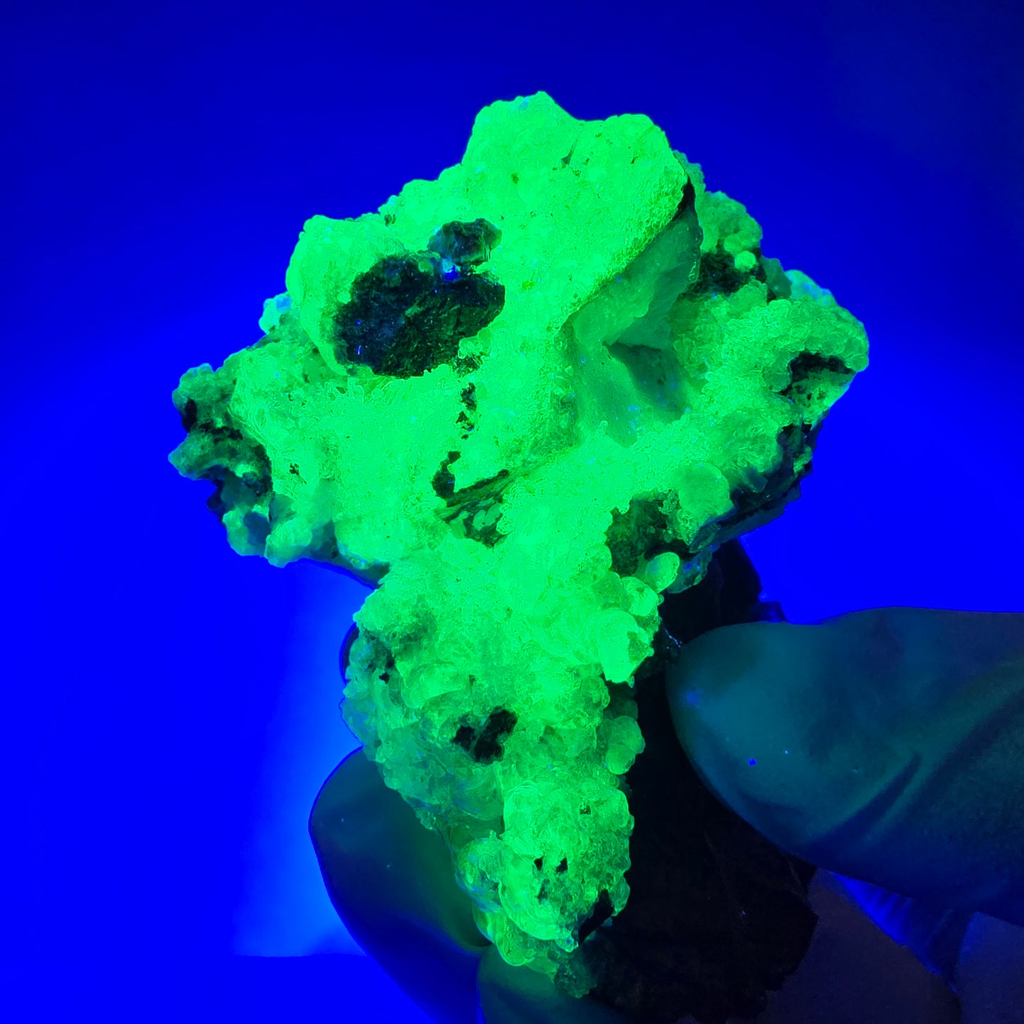 Hyalit Opal, Rauchquarz, Schörl Turmalin, Orthoklas Erongo, Namibia 71*58*45mm
