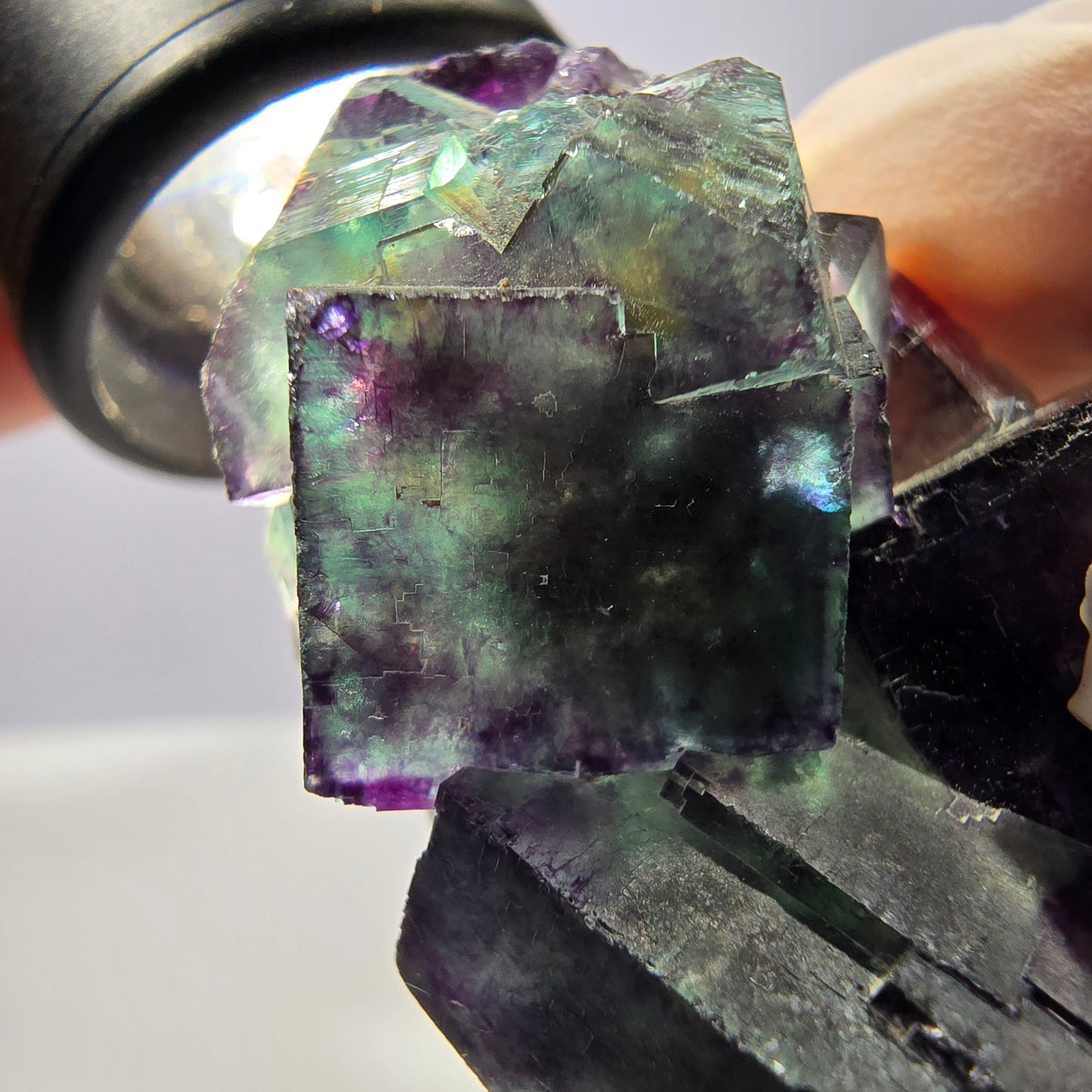 Spécimen de cube de fluorite fantôme parqueté vert violet Okorusu, Namibie 47*36*22mm