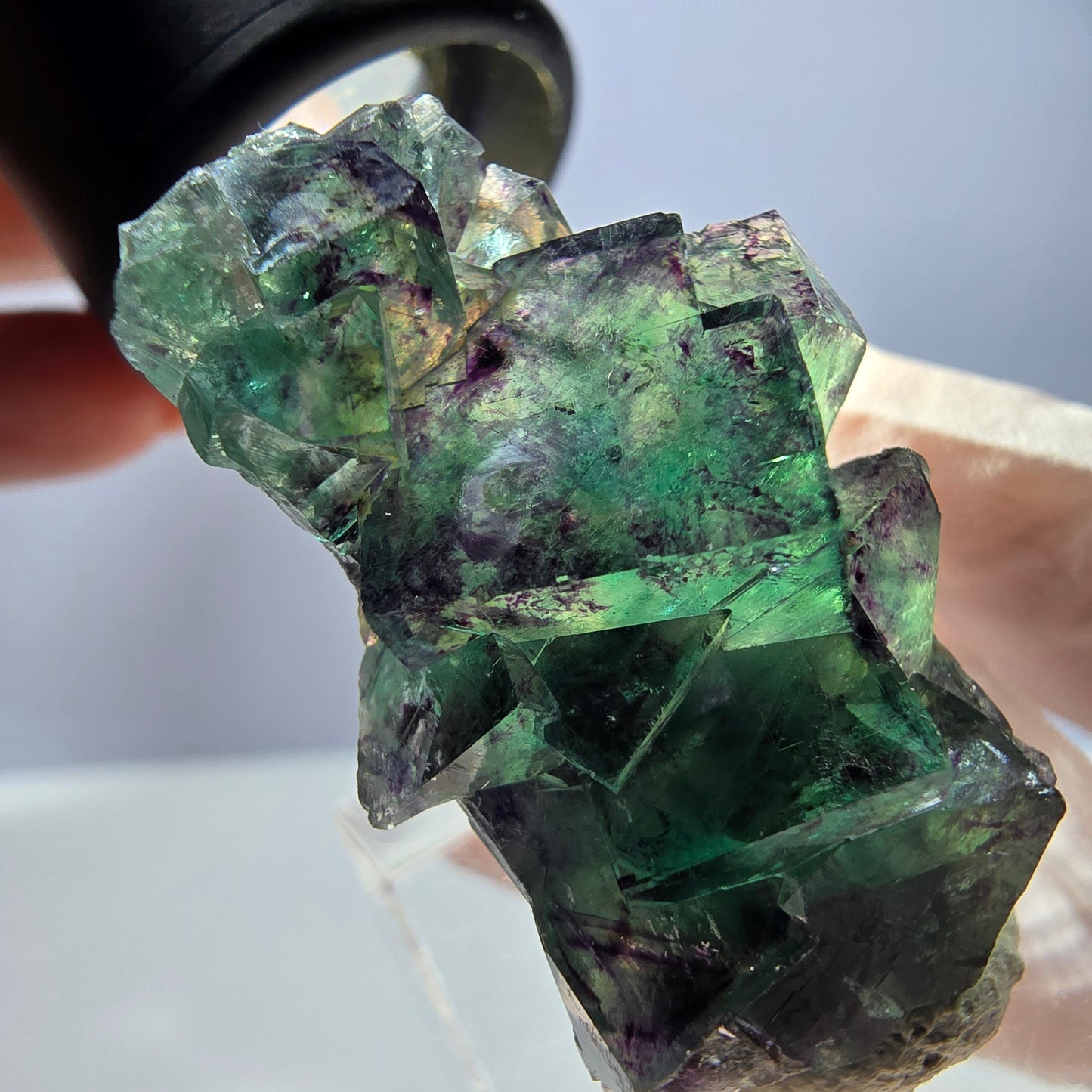 Spécimen de cube de fluorite fantôme, parqueté vert violet Okorusu, Namibie 37*22*13 mm