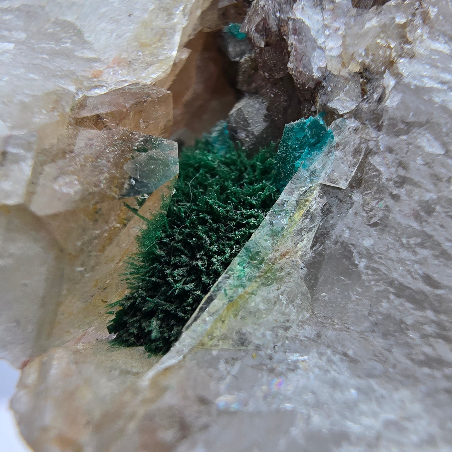 Seltene Malachit, Dioptas auf Quarz Stufe Kaokoveld, Namibia 70*50*23mm Sammlung