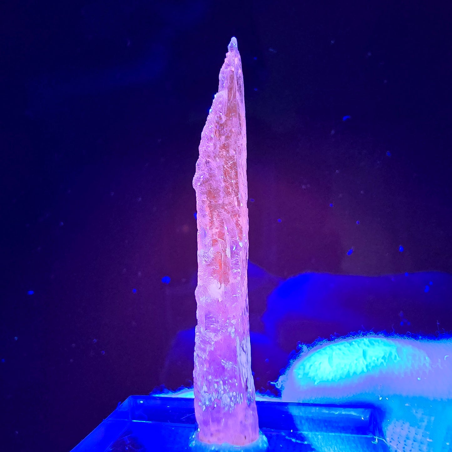 Seltener Kunzit X Spodumen Kristall weiß UV Mineral 39*5*4mm aus Brasilien