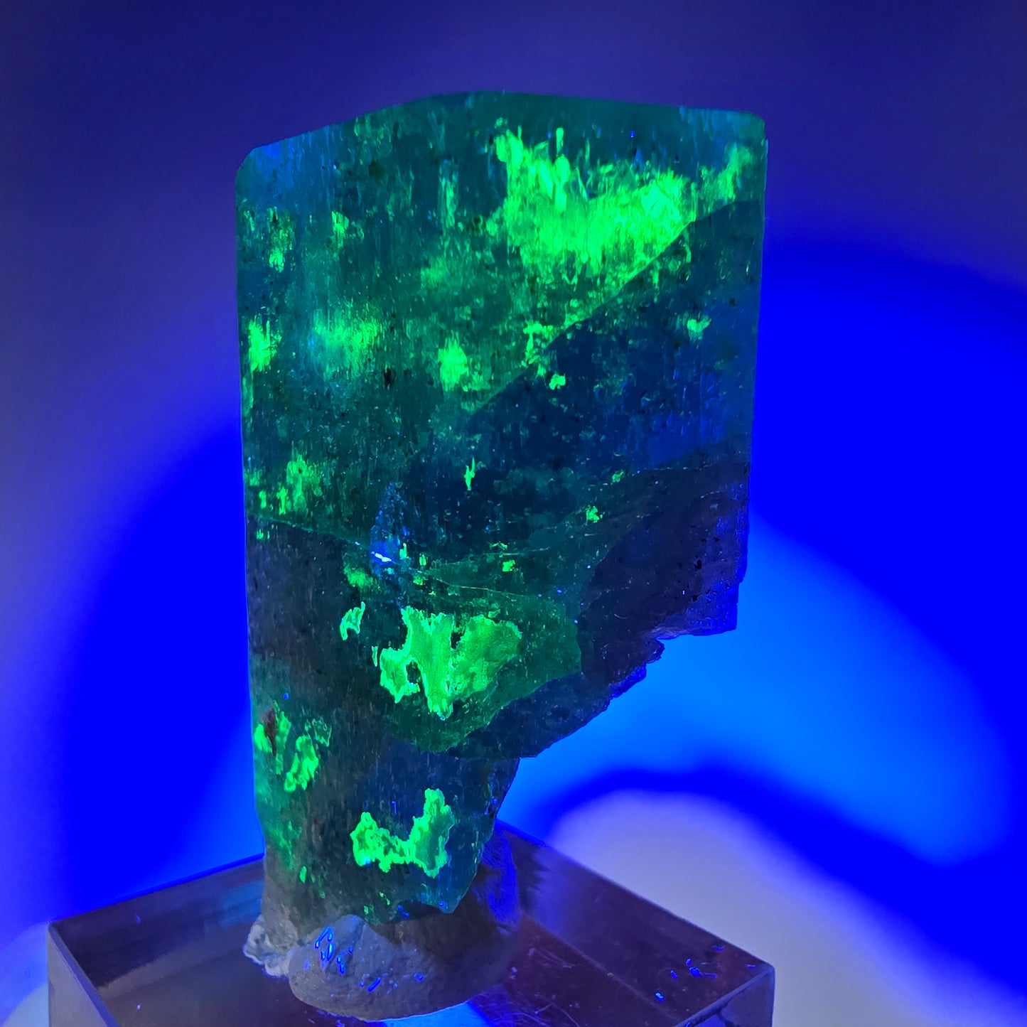 Seltener Aquamarin X mit Hyalit Einschlüssen Erongo, Namibia 42*28*19mm