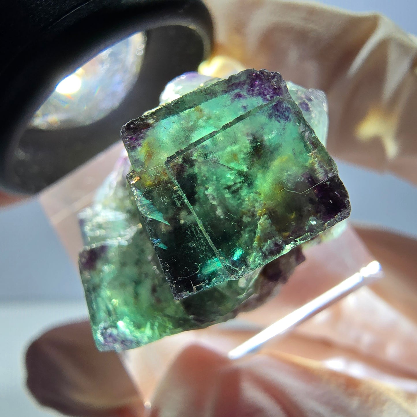Spécimen de cube de fluorite fantôme, parqueté vert violet Okorusu, Namibie 31*25*18 mm