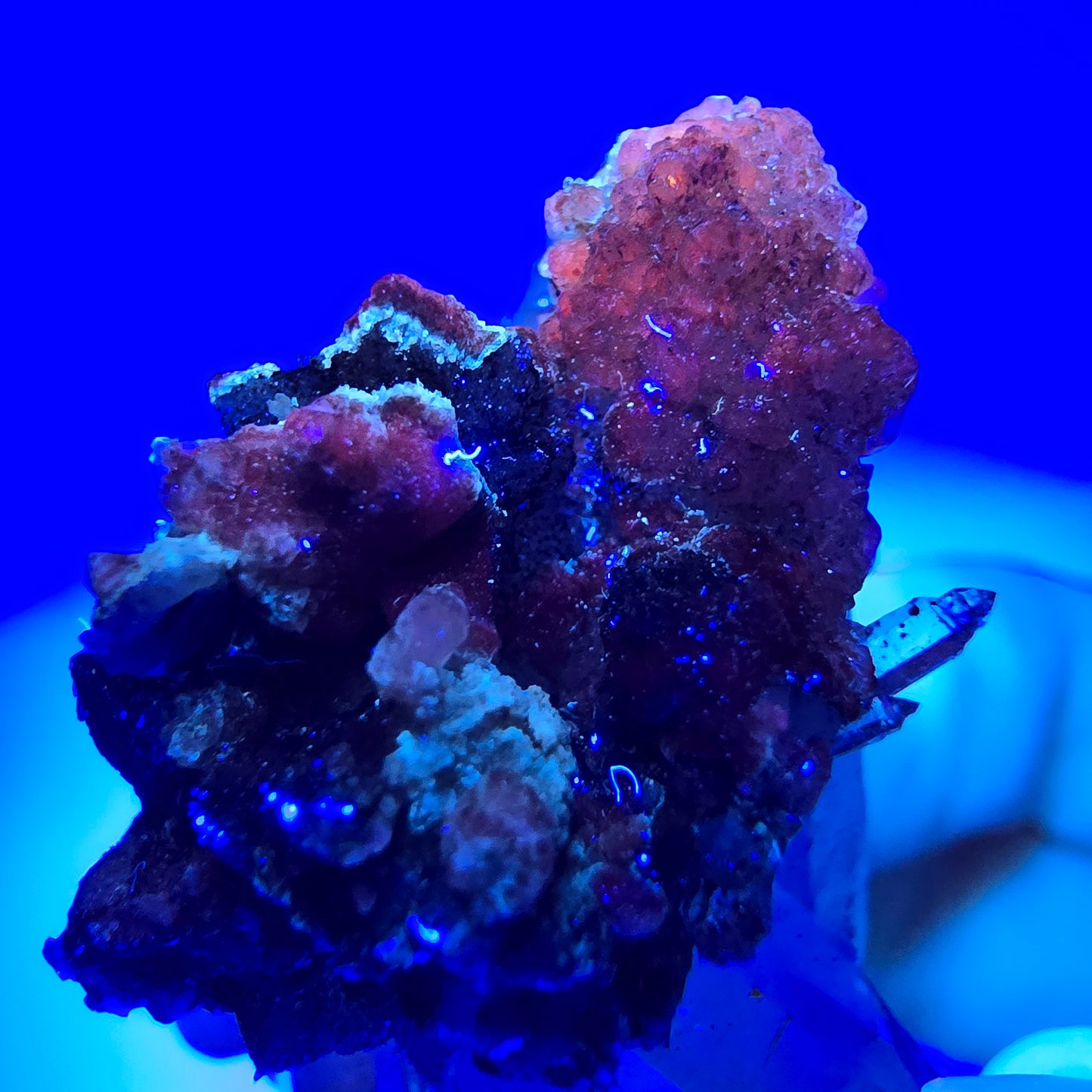 Sceptre DT en quartz fumé fantôme, calcite UV Valentine Pocket Goboboseb Namibie 60 x 26 x 25 mm