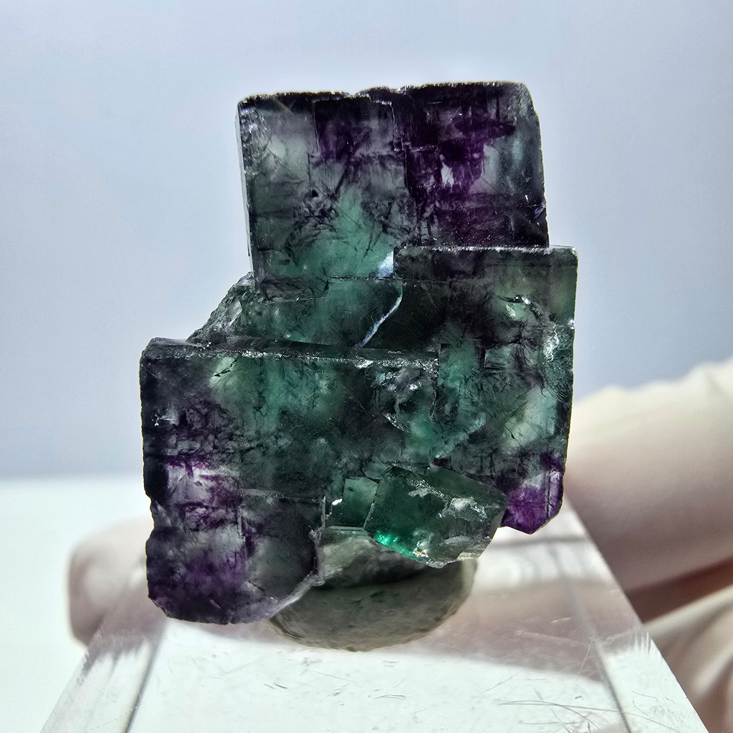 Phantom Fluorit Würfel Stufe, parkettiert grün lila Okorusu, Namibia 26*18*13mm