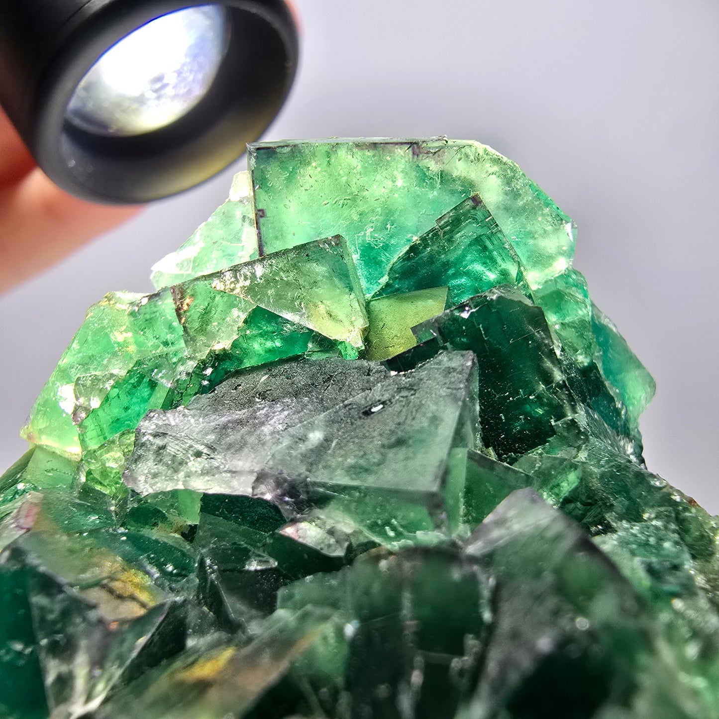 Spécimen de cube de fluorite fantôme parqueté vert violet Okorusu, Namibie 62*44*26mm