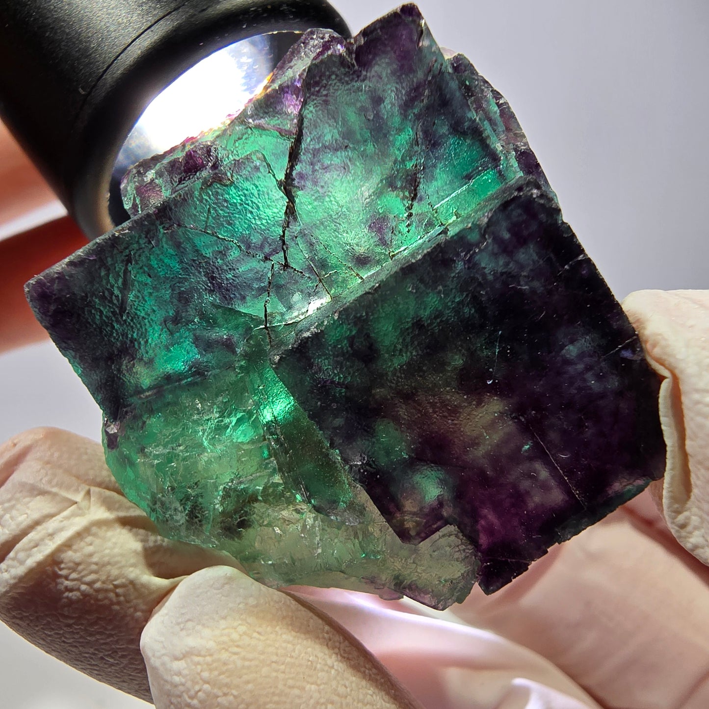 Spécimen de cube de fluorite fantôme, parqueté vert violet Okorusu, Namibie 39*33*22 mm