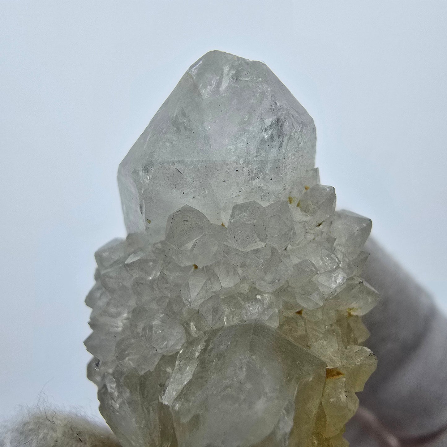 Kaktusquarz, Spirit Quarz XX Stufe Boekenhouthoek, Südafrika 41*30*25mm Sammlung