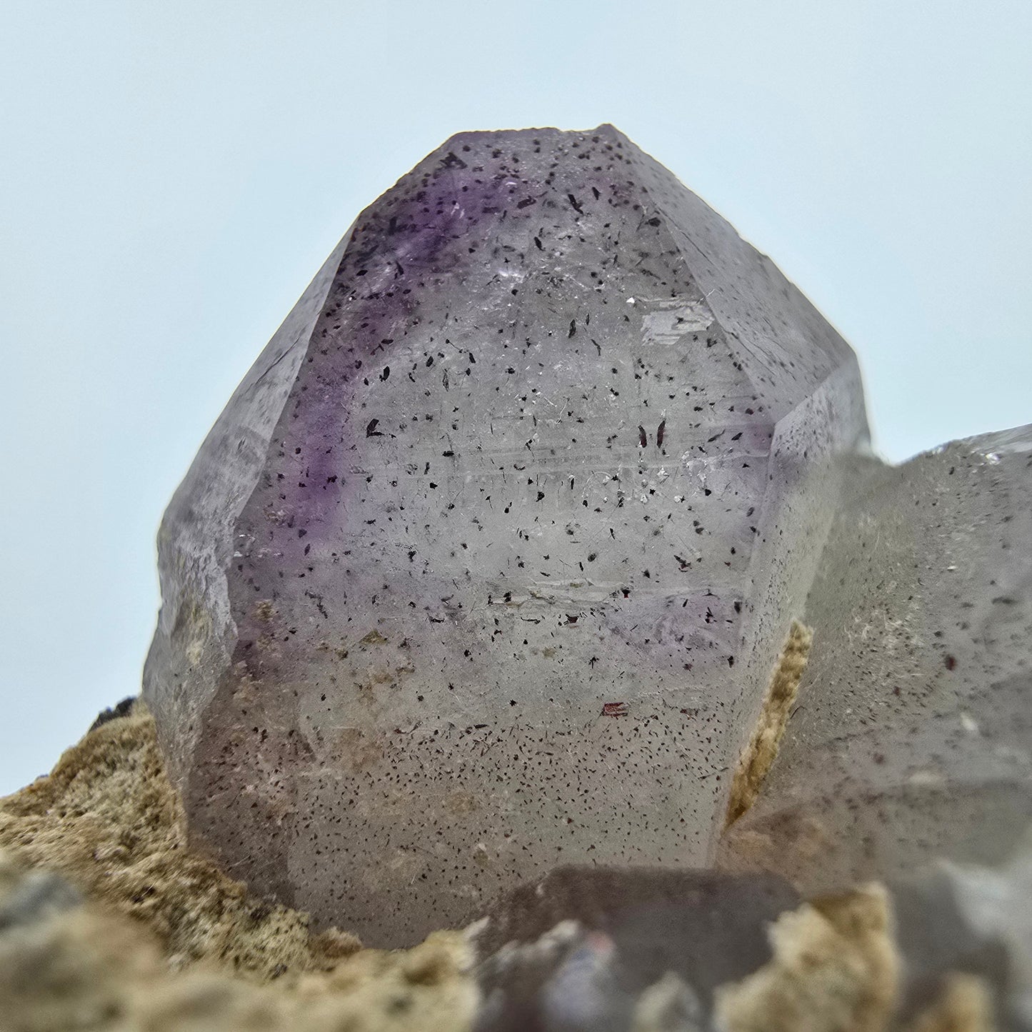 Phantom Amethyst Zepter auf Matrix Goboboseb, Namibia 62*34*30mm Sammlung