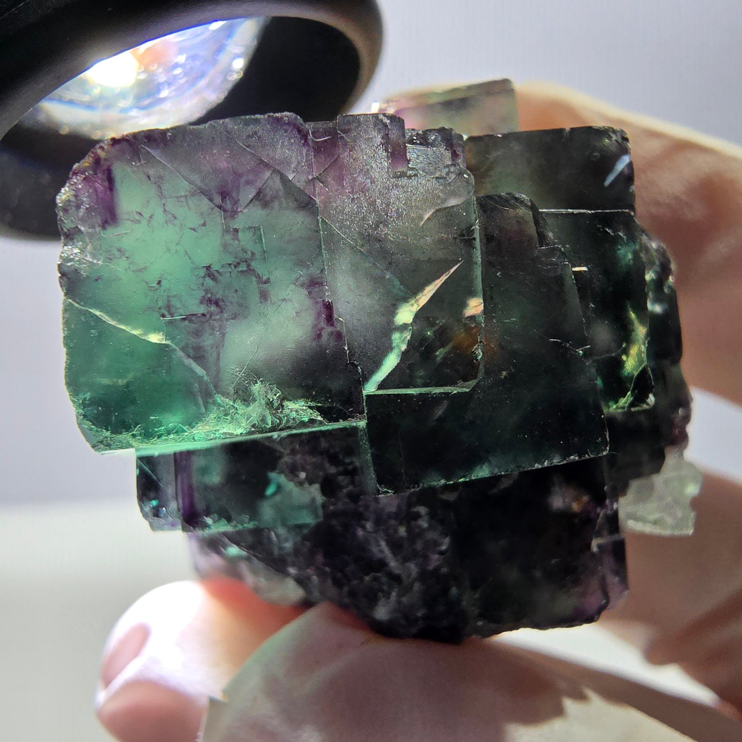 Spécimen de cube de fluorite fantôme parqueté vert violet Okorusu, Namibie 45*42*35 mm